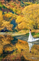 经典的金秋回忆