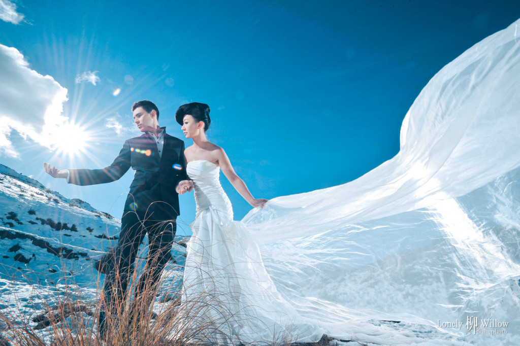 白雪与太阳的后裔