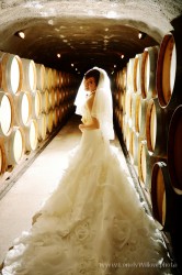 20120204wineyard_wedding006