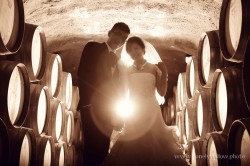 20120204wineyard_wedding012