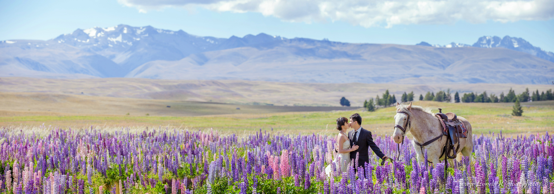 20141229xinzhengren_lupins0089