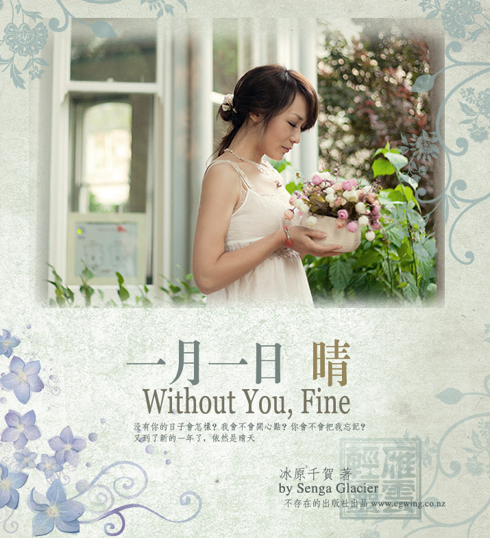 11fine_webdesign0006