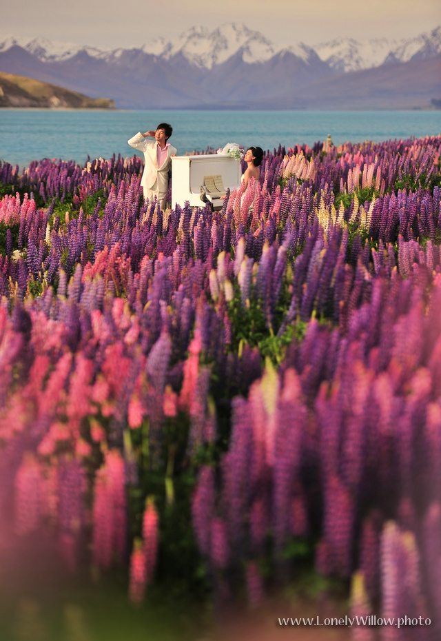 20121127tekapolupinspiano-0006