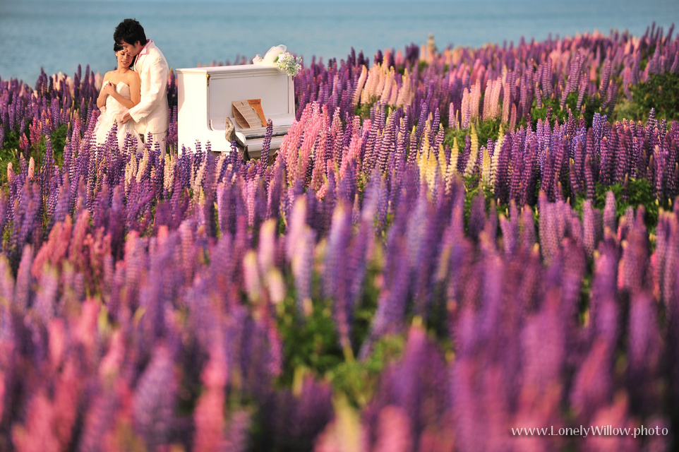 20121127tekapolupinspiano-0007