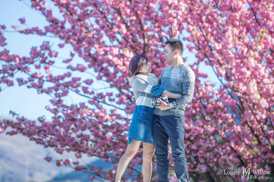 20151017wing_flowers016