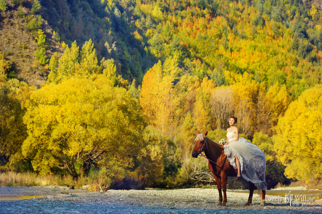 20150407wangzi_5color0102