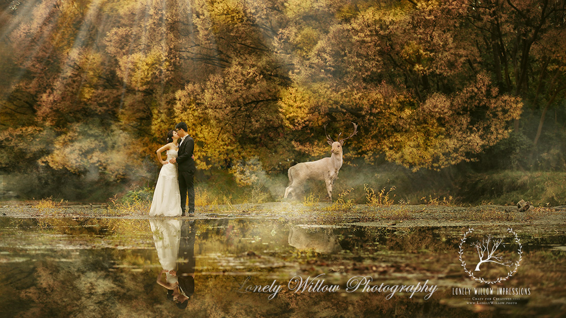 20150420yangyuanyong_arrowtown0094web