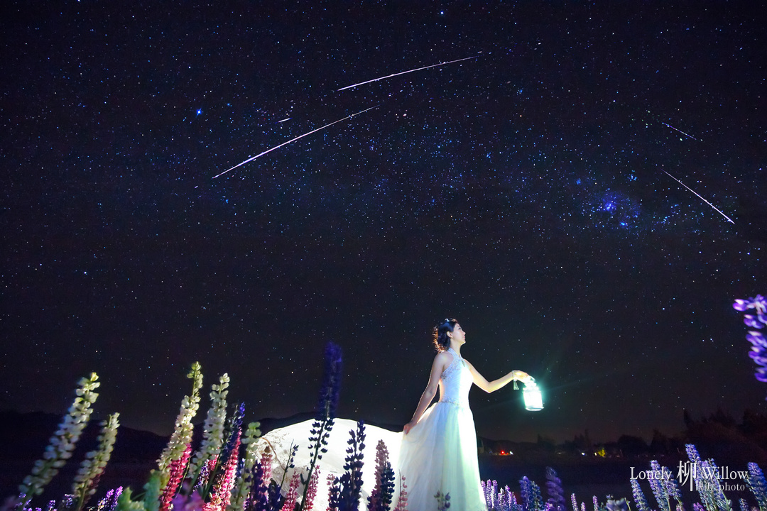 20151203xiaohaibei_lupins302