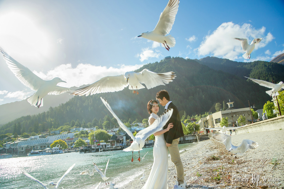 20141201ariel_birds0017