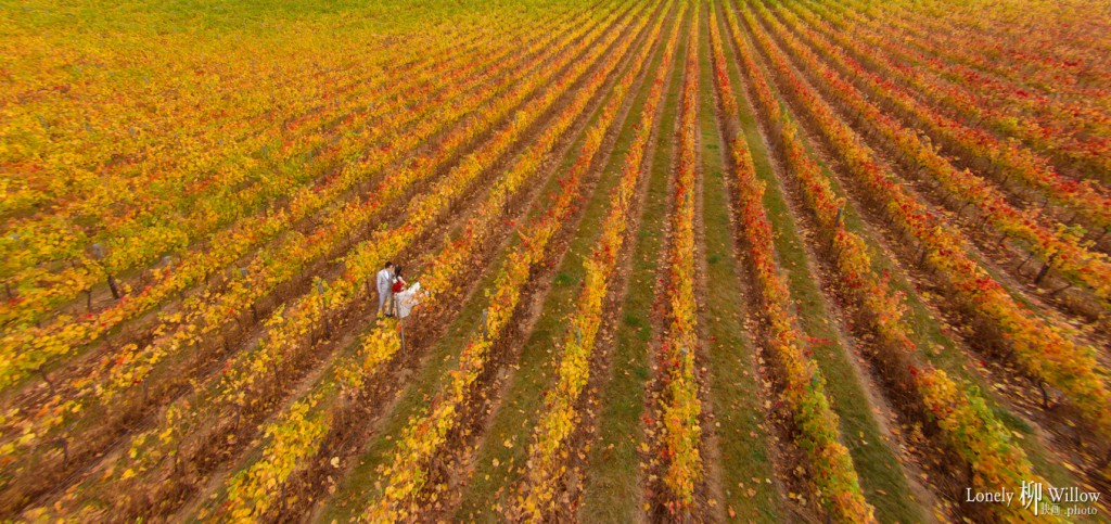 漫步彩虹桥 （单人拍摄双影像）