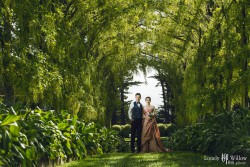 20151116doudoucha_dunedin_0099