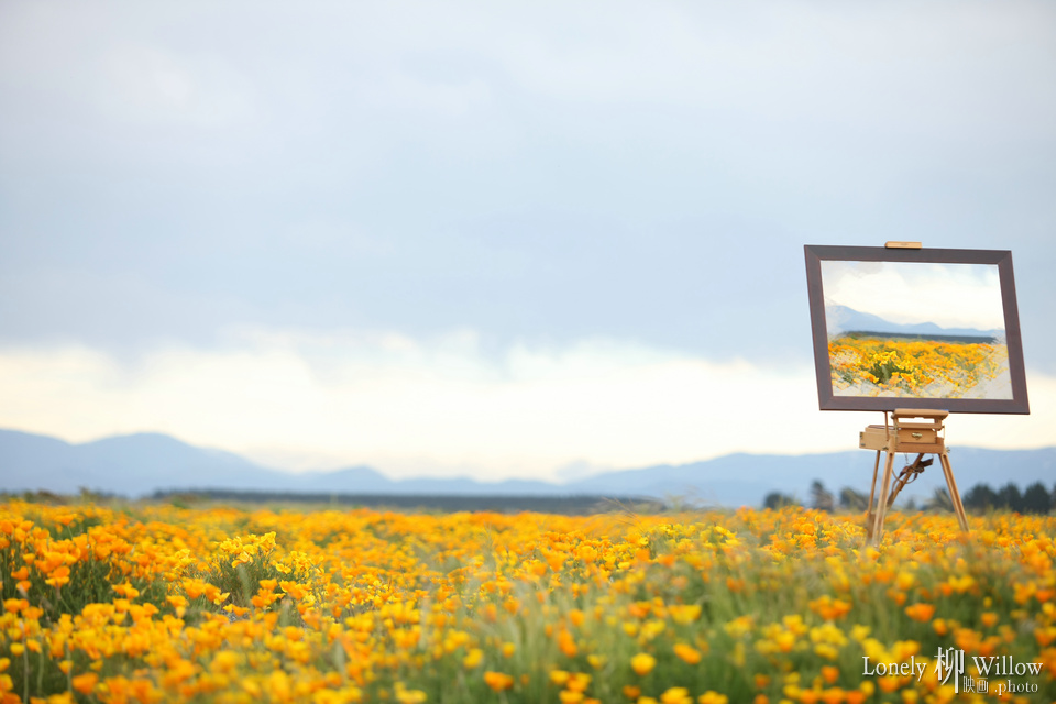 20111014thoseflowers0001