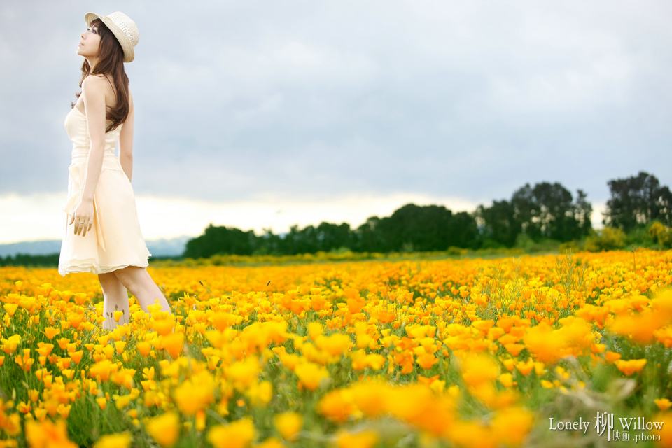 20111014thoseflowers0012