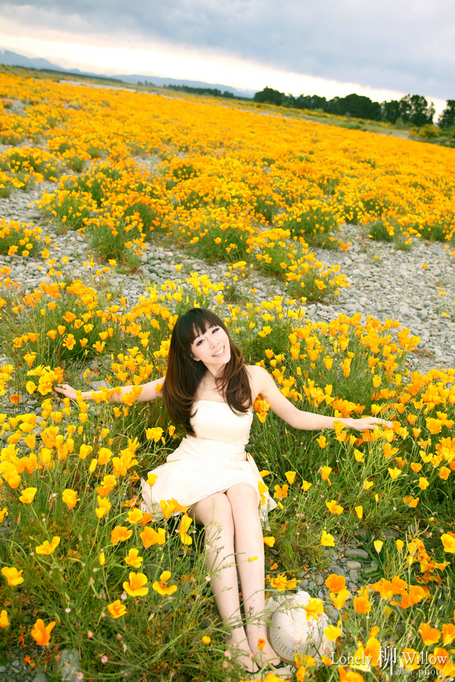 20111014thoseflowers0014