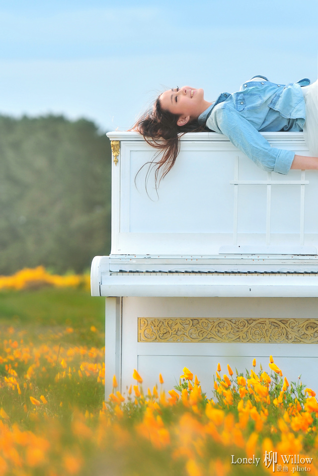 20111111coloursinmemery0011