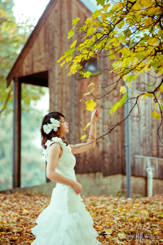 20120503_wanakatrees0005