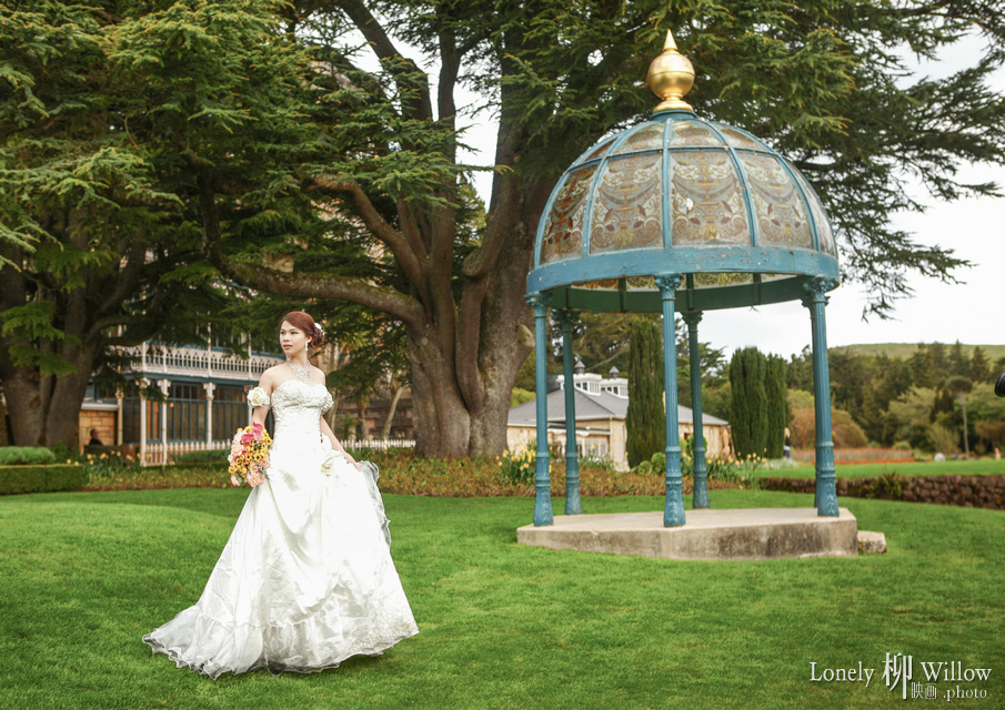 20121002dunedin_larnach018