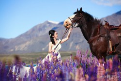 20121127lavita_lupins+horse027