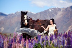 20121127lavita_lupins+horse036