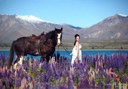 20121127lavita_lupins+horse052