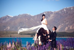 20121127lavita_lupins+horse098