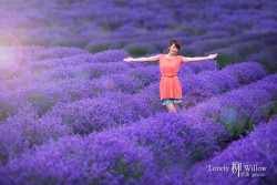 20121227lavendarfairy0008