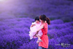 20121227lavendarfairy0011