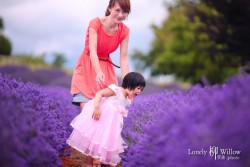 20121227lavendarfairy0018