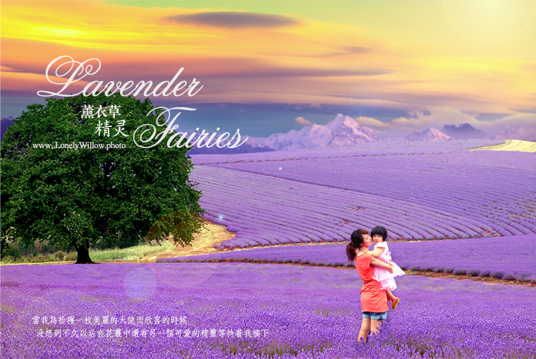 薰衣草精灵