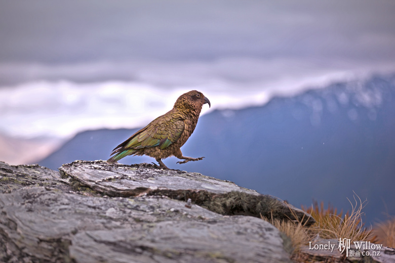 20131008yueqiu_peak046