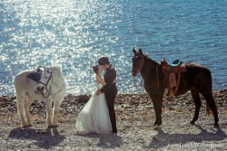 20140429wilsonwang_horses0056