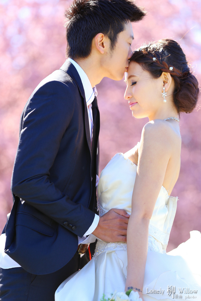 20140910zhonghengwang_sakura0062