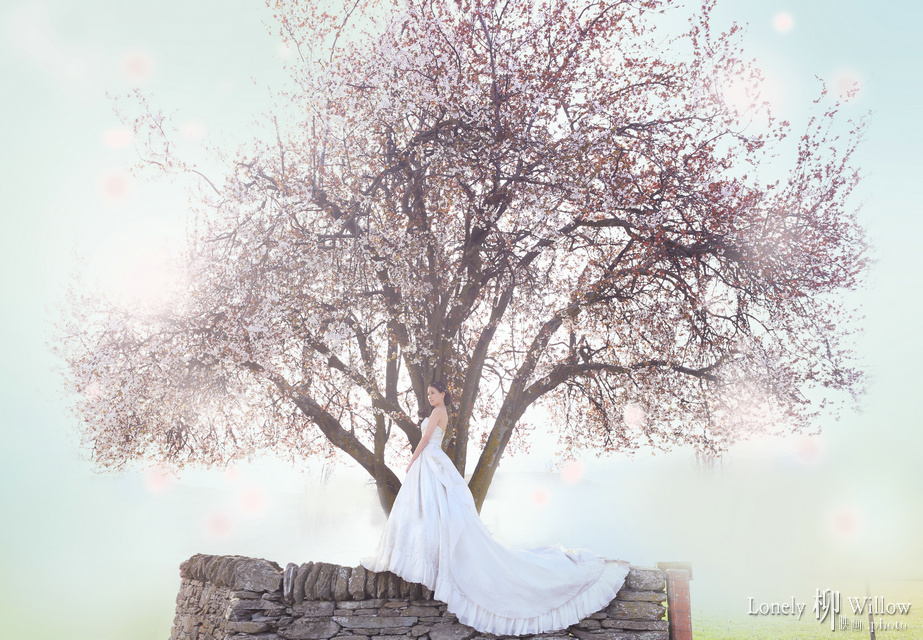 20140910zhonghengwang_sakura0096