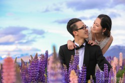 20141120junpeng_lupins0014