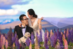 20141120junpeng_lupins0019