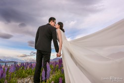 20141120junpeng_lupins0093