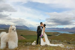 20141120junpeng_mtjohn0211