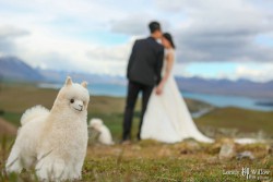 20141120junpeng_mtjohn0217