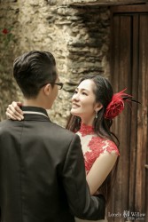 20141120junpeng_roses0002