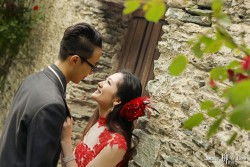 20141120junpeng_roses0030