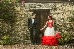 20141120junpeng_roses0033