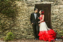 20141120junpeng_roses0036