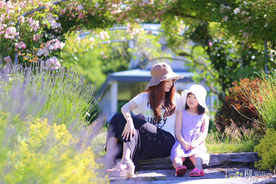 20150112cocolavendar0009