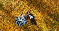 20150429kunxie_wanakagoldentrees0006