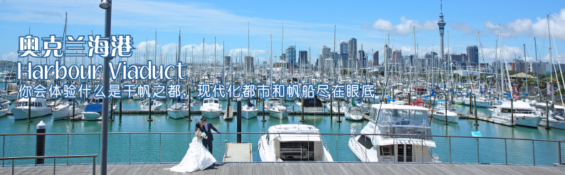 Auckland 海港 Viaduct Harbour