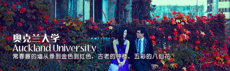 Albert Park+Princess St. 奥克兰大学钟楼旁