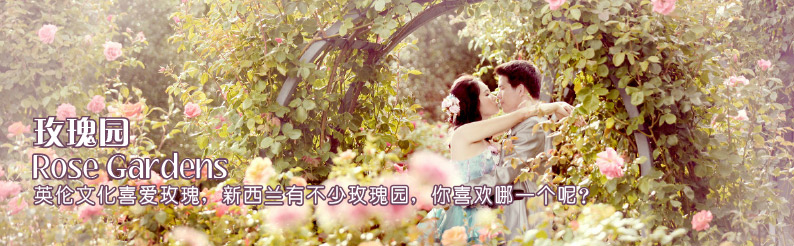 玫瑰园 Rose Garden