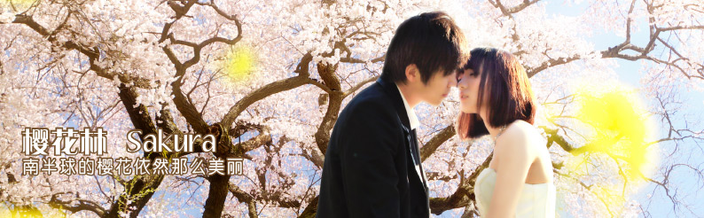 One Tree Hill 奥克兰一树山+樱花林