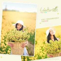 loveharvest02