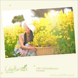 loveharvest03